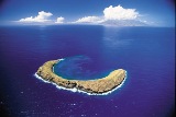 Séjour à Hawaii découverte de Molokini pendant nos vacances organisées par routedhawaii.com