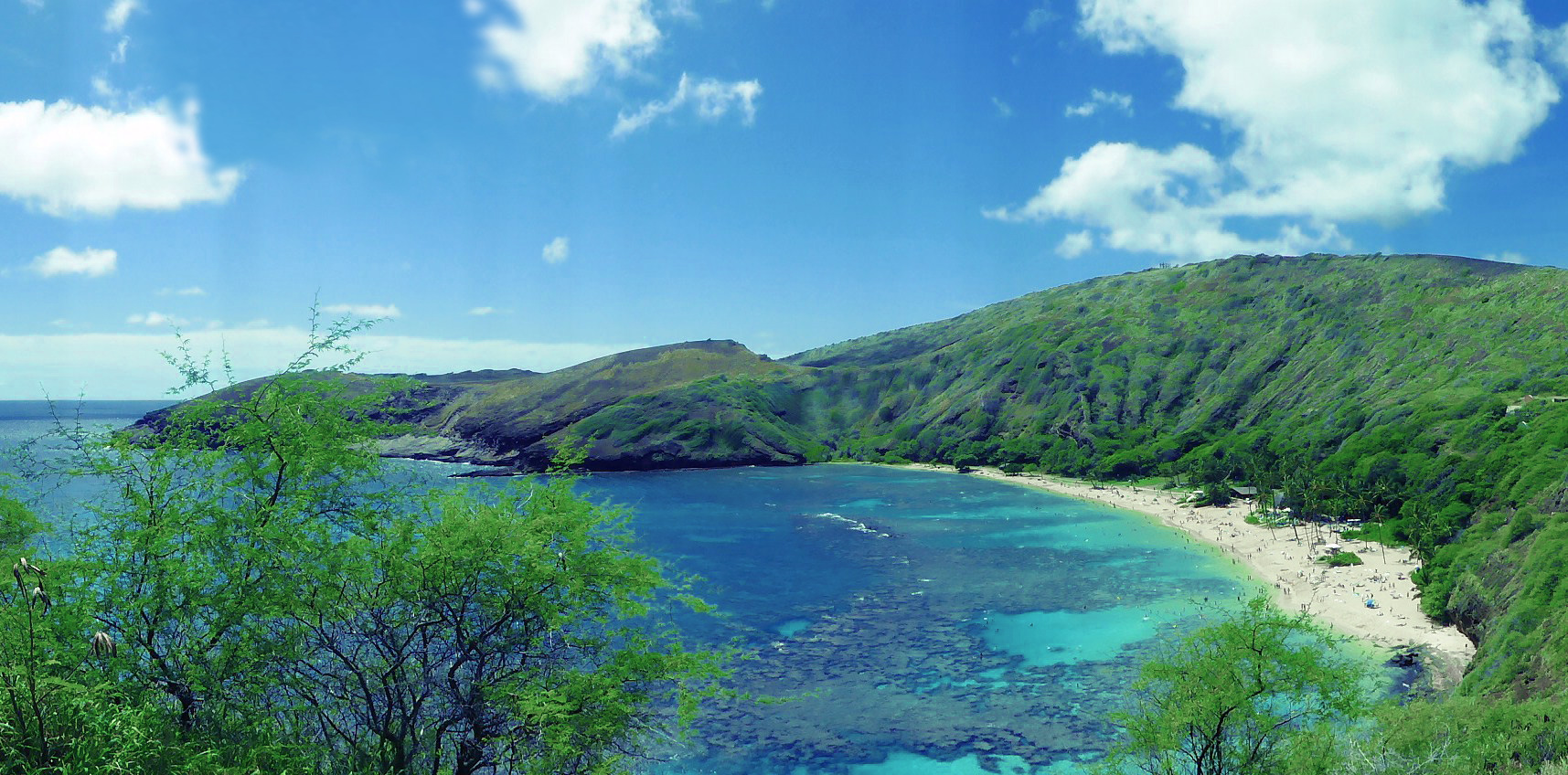 paysage hawaii